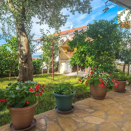 Cvita Sucic Apartment *