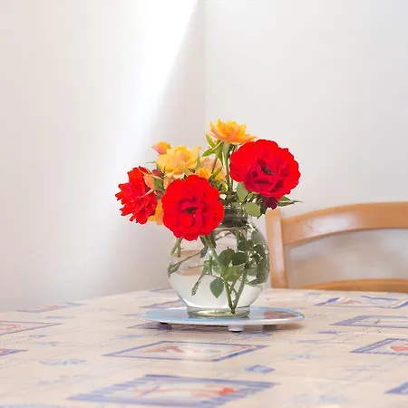 Cvita Sucic Apartment Trogir
