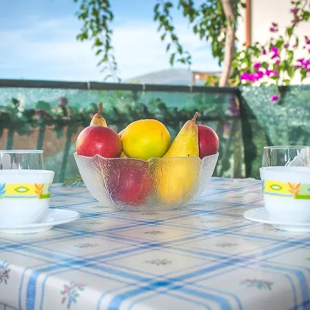 Cvita Sucic 아파트 *